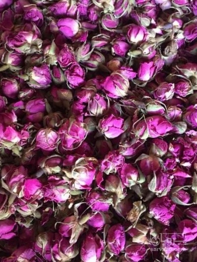 فروش گل محمدی (گیاه‌ دارویی)