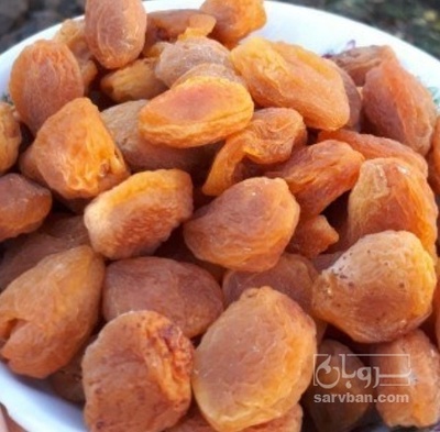 فروش برگه قیسی