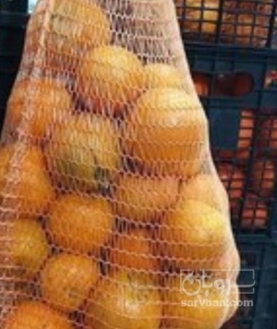 فروش پرتقال ابگیری
