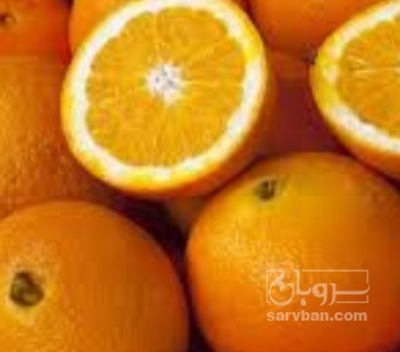 فروش پرتقال واکسی