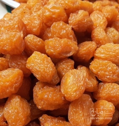 فروش آلو بخارا