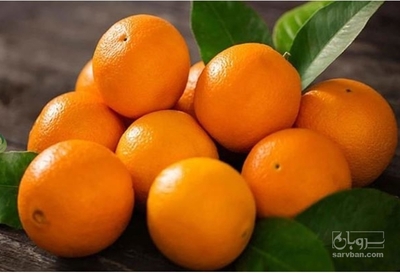 فروش پرتقال تامسون