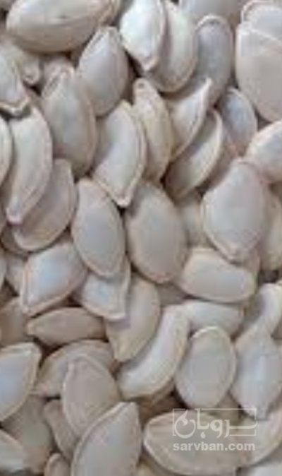 فروش تخمه  کدو