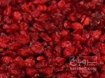 فروش زرشک پفکی