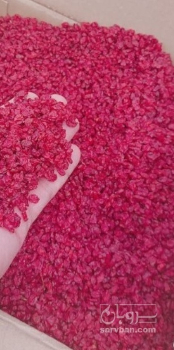 فروش زرشک اناری