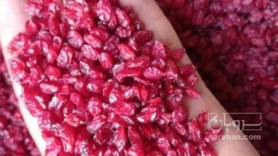 فروش زرشک زیرتالاری