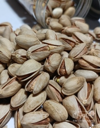 فروش پسته اکبری