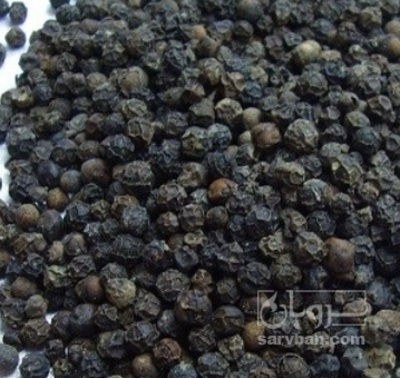 فروش تخم فلفل سیاه