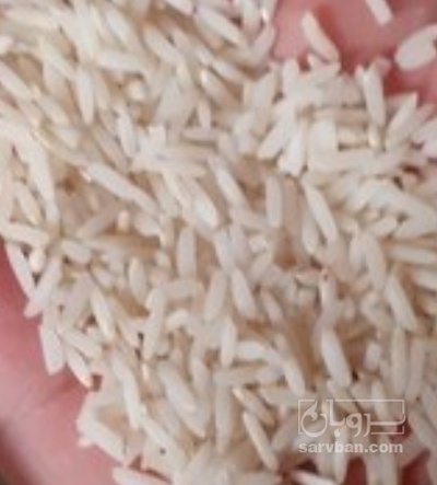 فروش برنجطارم سورت شده