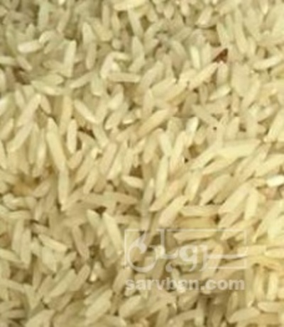 فروش برنج طارم محلی