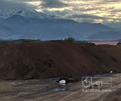 فروش کنجاله زیتون