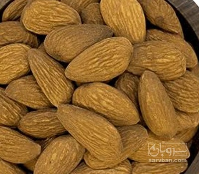 فروش  مغزبادام شاهرودی