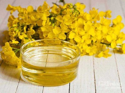 فروش کلزا