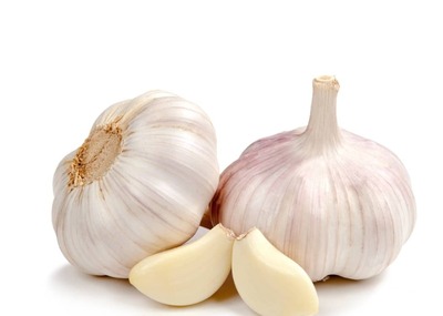 فروش سیر تند صادراتی