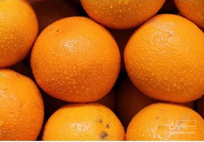 فروش پرتقال تامسون