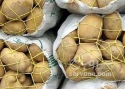 فروش سیب زمینی جلی