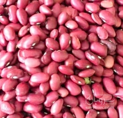 فروش لوبیا قرمز