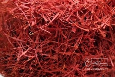 فروش زعفران نگین (گیاه‌ دارویی)