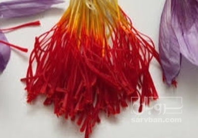 فروش ریشه  زعفران (گیاه‌ دارویی)