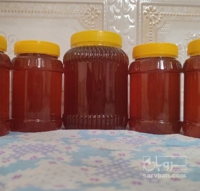 فروش عسل کوهستان