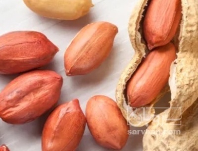 فروش بادام زمینی  بدون قلاف