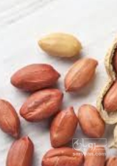 فروش بادام زمینی بی قلاف