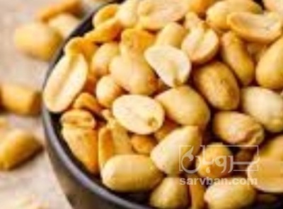 فروش بادام زمینی کره گیری