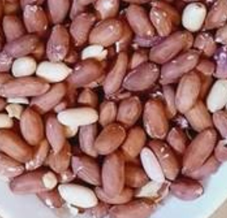 فروش بادام زمینی بی قلاف