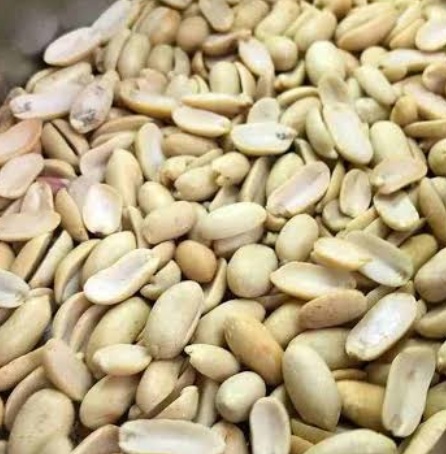 فروش بادام زمینی کره گیری