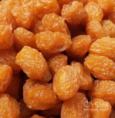 فروش آلو بخارا