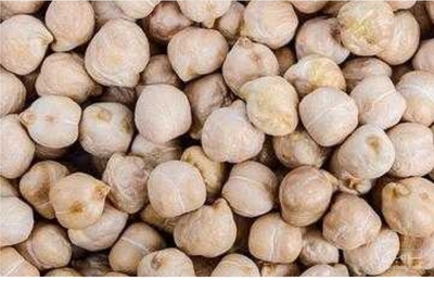 فروش نخودسفید