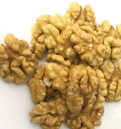 فروش گردوسفید