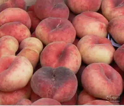 فروش هلو انجیری