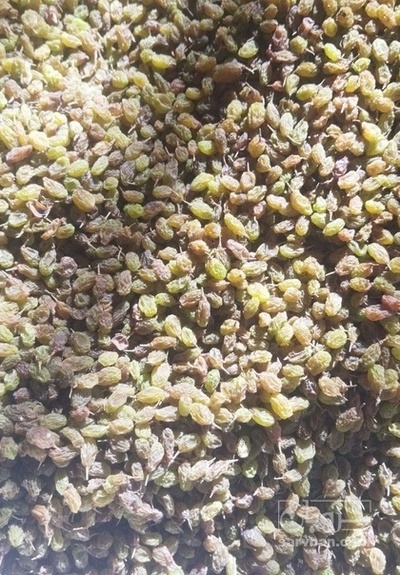 فروش کشمش سبز