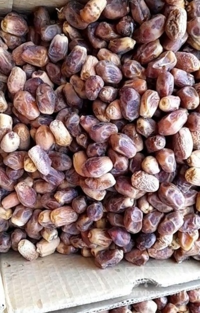 فروش خرما زاهدی