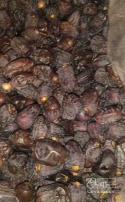 فروش خرما ضایعاتی