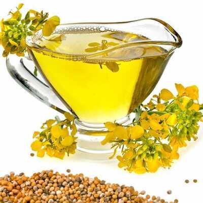 فروش کلزا