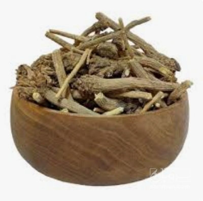 خرید ریشه کاسنی