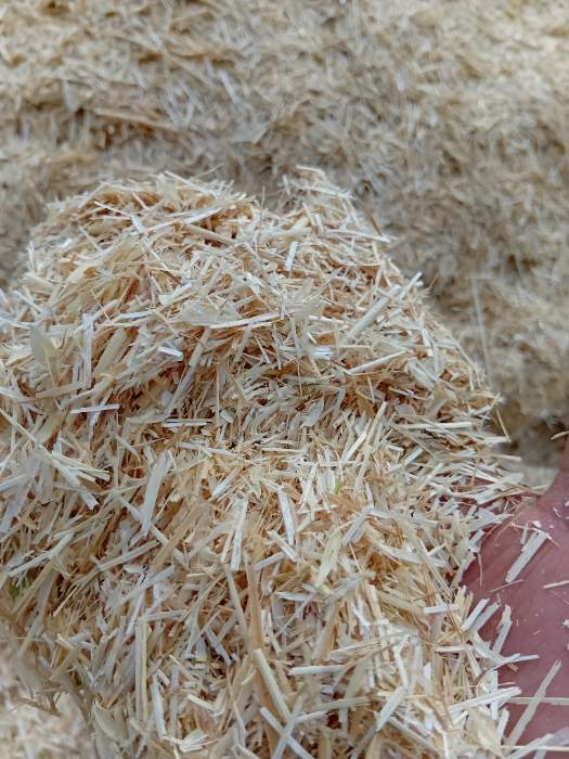 فروش کاه و کلش گندم