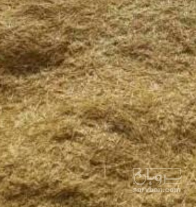 فروش کاه و کلش گندم