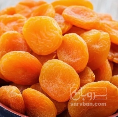 فروش برگه قیسی