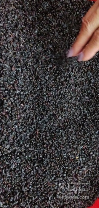فروش زرشک سیاه بی دانه ارگانیک