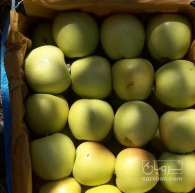 فروش سیب زرد