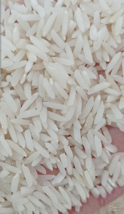 فروش برنج