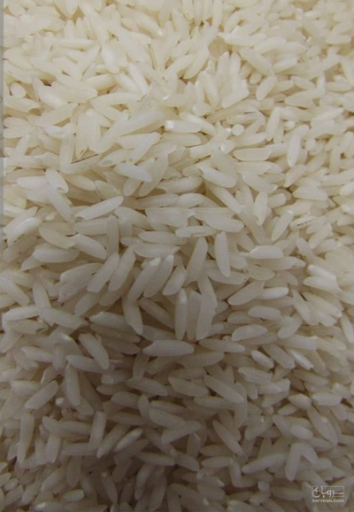 فروش برنج