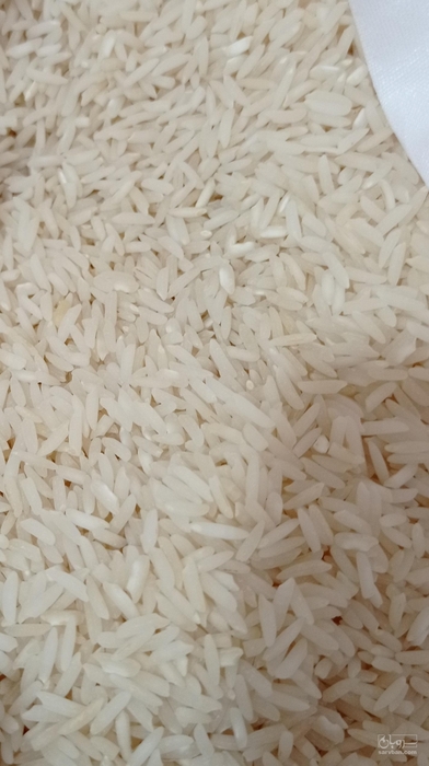 فروش برنج