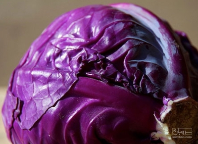 فروش کلم برگی قرمز