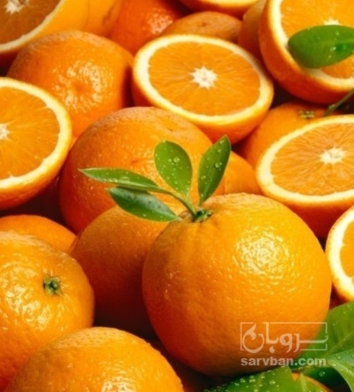 فروش پرتقال