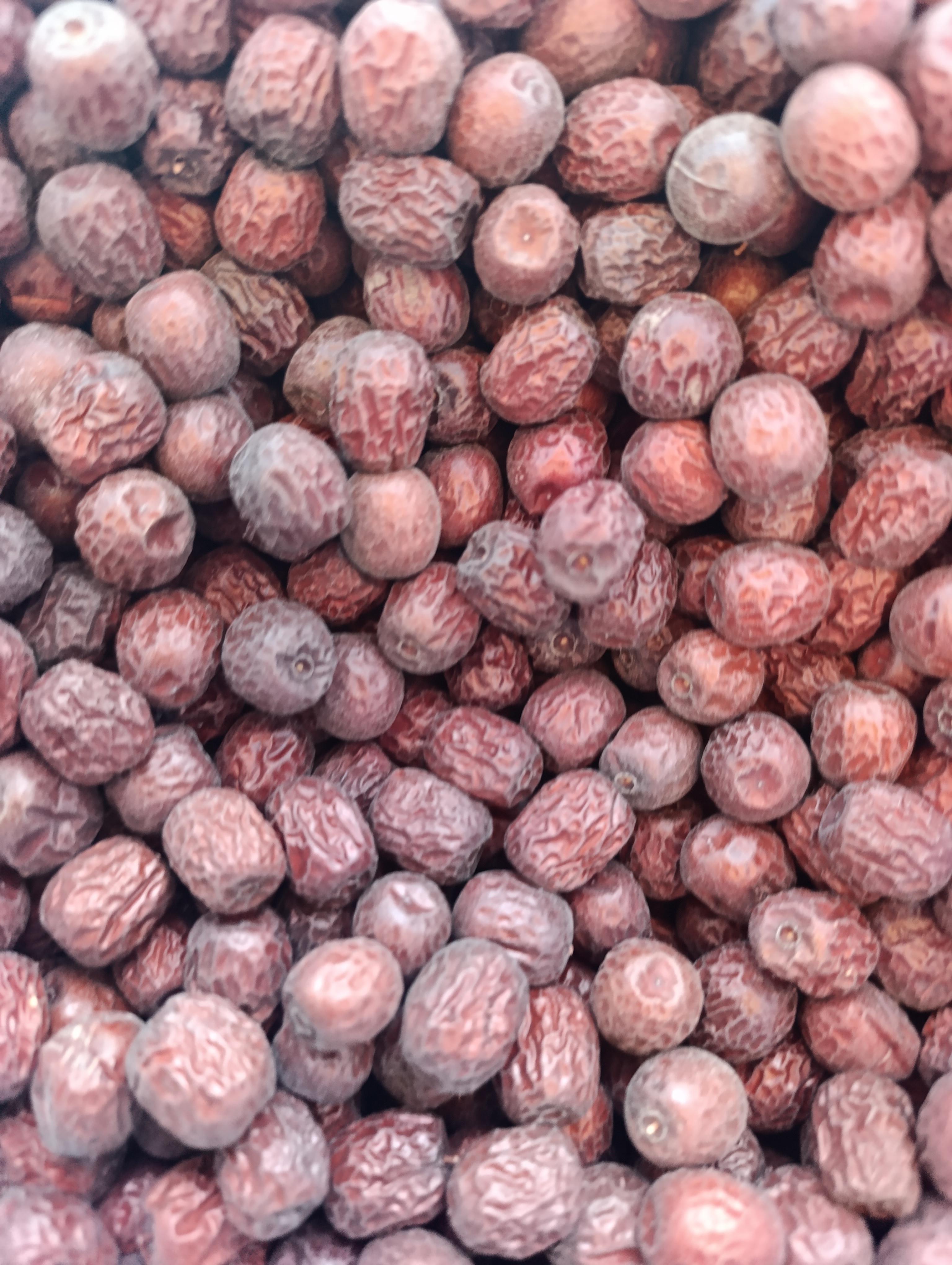 فروش عناب (گیاه‌ دارویی)