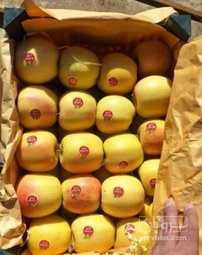 فروش سیب زرد